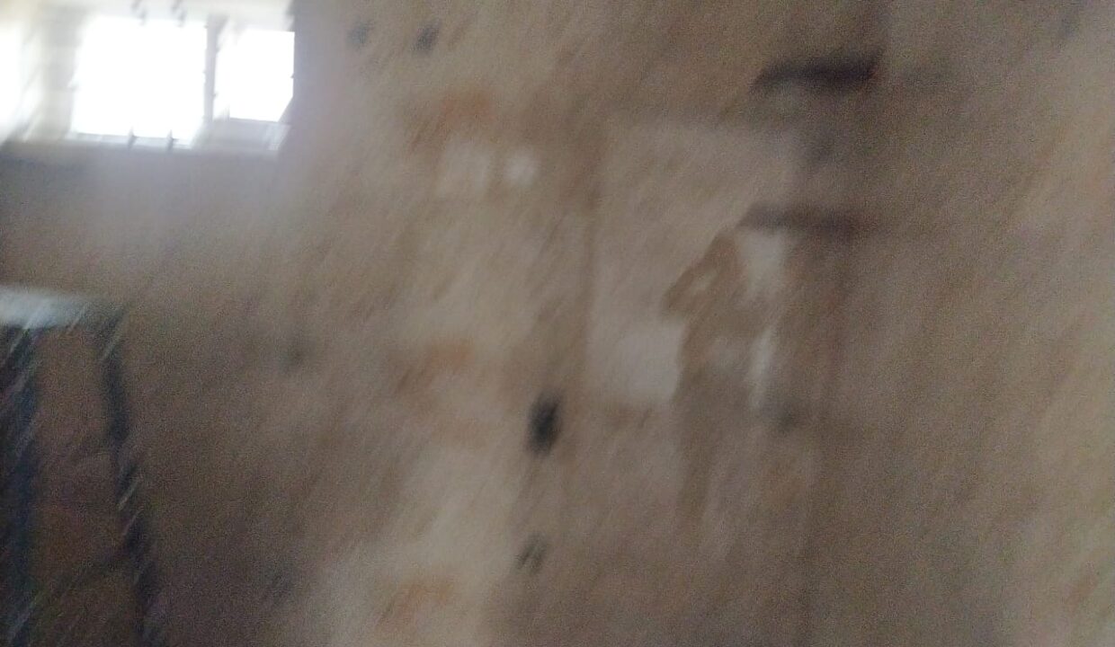 WhatsApp Image 2022-03-14 at 6.55.18 PM (1)