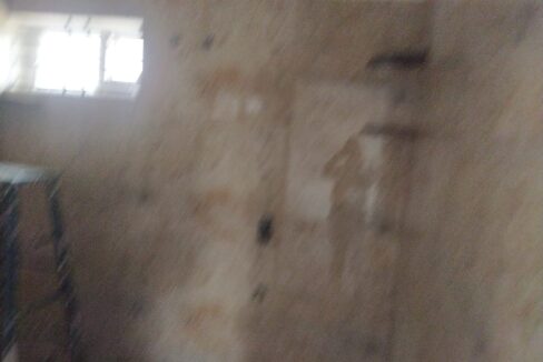 WhatsApp Image 2022-03-14 at 6.55.18 PM (1)