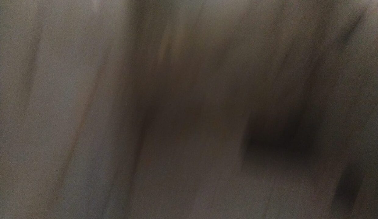 WhatsApp Image 2022-03-14 at 6.55.18 PM (4)