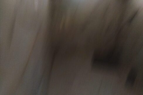 WhatsApp Image 2022-03-14 at 6.55.18 PM (4)