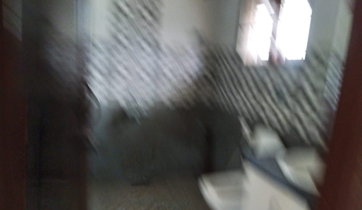 WhatsApp Image 2022-03-23 at 5.56.38 PM (1)