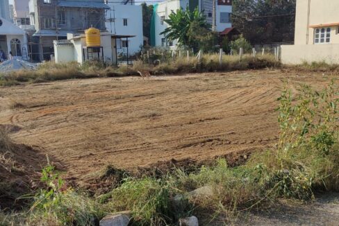 WhatsApp Image 2022-07-04 at 10.50.03 AM (1)