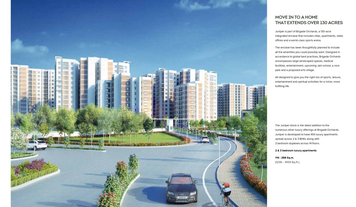 Juniper brochure_page-0002