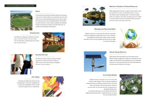 Juniper brochure_page-0004