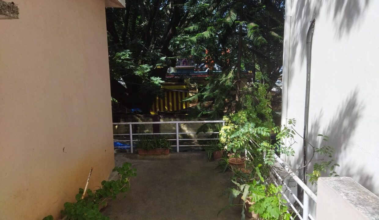 WhatsApp Image 2022-10-24 at 2.16.27 PM (1)