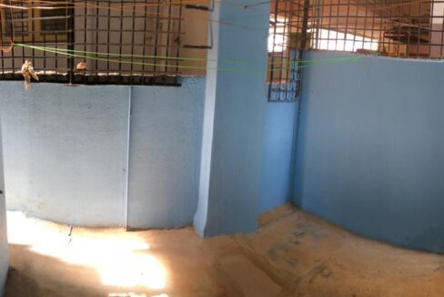 WhatsApp Image 2023-03-06 at 2.36.51 PM (1)