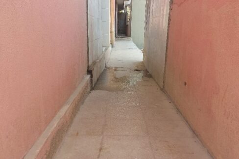 WhatsApp Image 2023-03-27 at 11.49.52 AM (1)