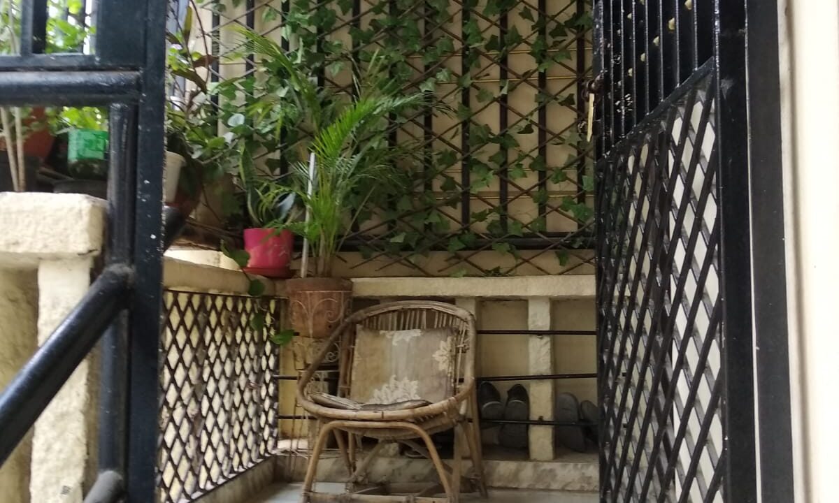 WhatsApp Image 2023-04-03 at 2.49.53 PM (1)