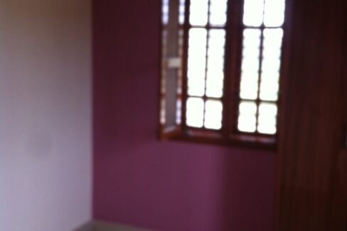 WhatsApp Image 2023-04-11 at 4.01.34 PM (1)