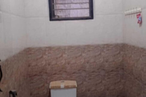 421759536O-1683461439060-transformed