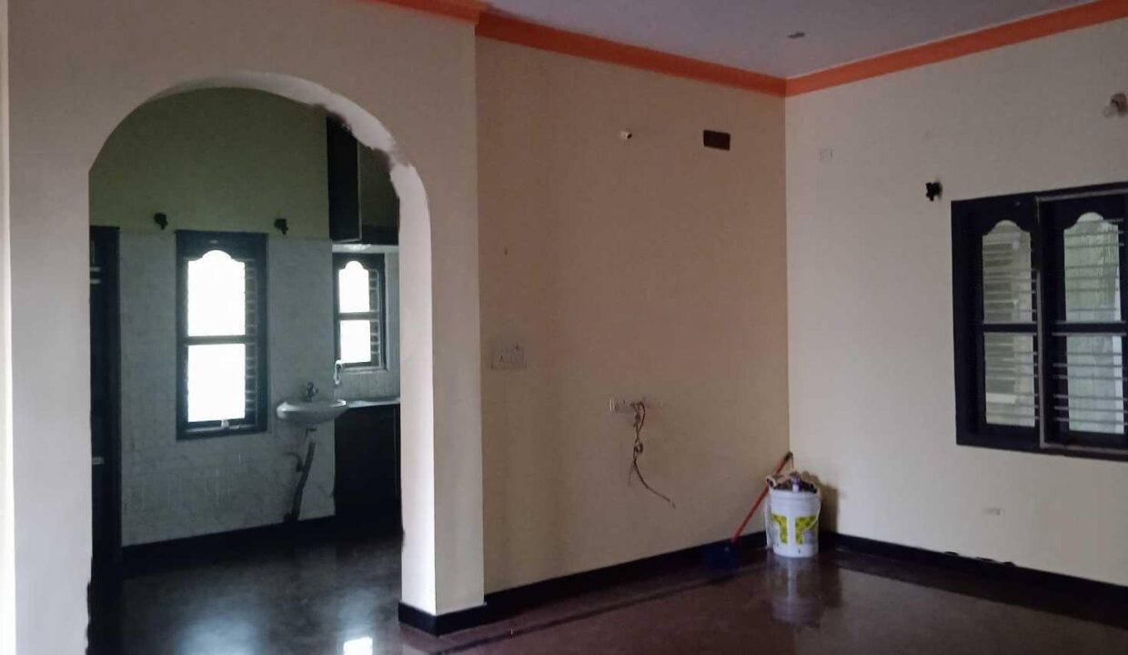 421759538O-1683461367903-transformed