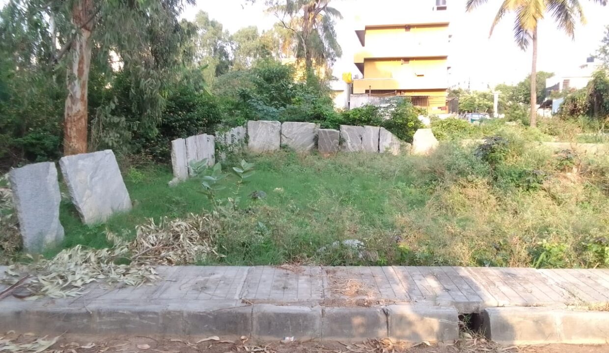 WhatsApp Image 2023-05-27 at 13.25.29