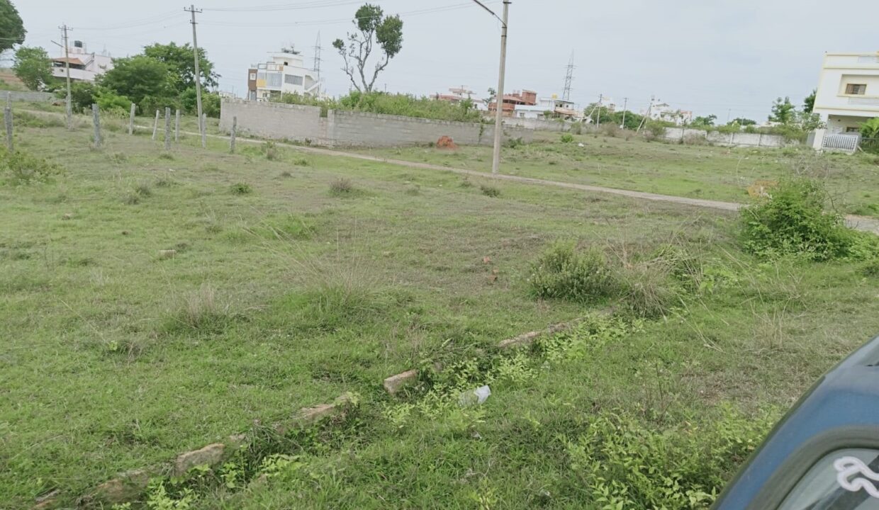 39c3a431-0ae6-423a-84d4-b886c5aff635