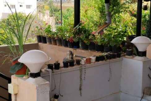 WhatsApp Image 2023-07-07 at 20.06.49