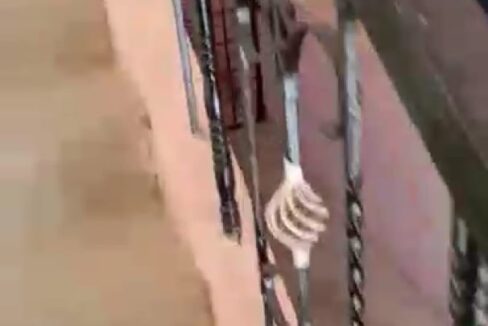 WhatsApp Image 2023-07-14 at 11.40.10 AM