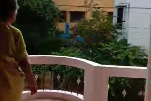 WhatsApp Image 2023-07-14 at 11.40.11 AM