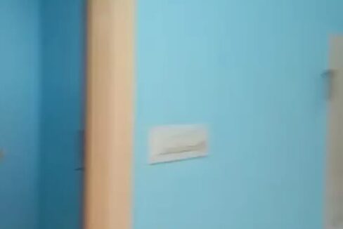 WhatsApp Image 2023-07-14 at 11.40.20 AM