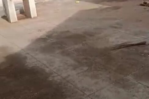 WhatsApp Image 2023-07-14 at 11.40.21 AM (1)