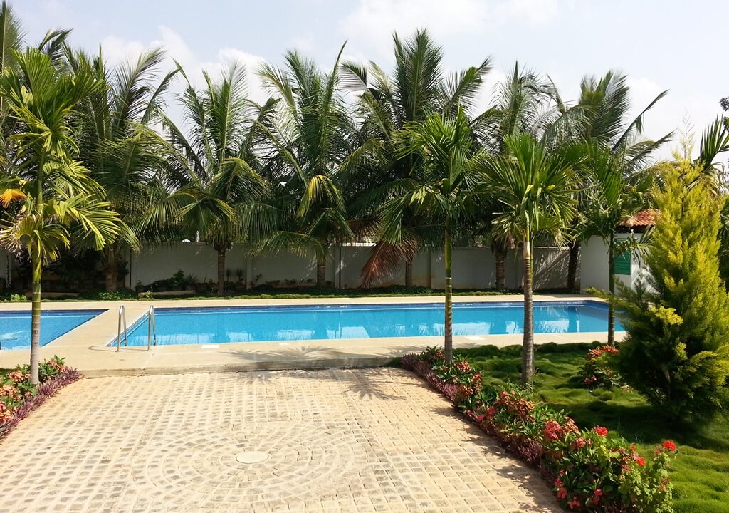 WhatsApp Image 2023-08-17 at 4.09.31 PM (2)