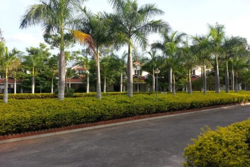 WhatsApp Image 2023-08-17 at 4.09.32 PM