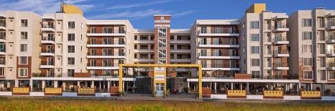 gladiola-gardenia-elevation-4868646