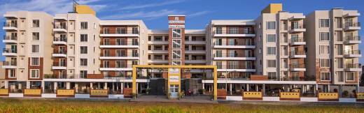 gladiola-gardenia-elevation-4868646