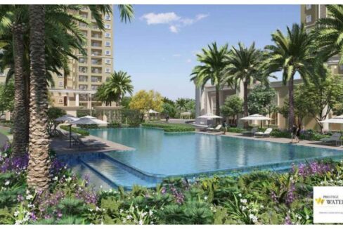 WhatsApp Image 2023-10-12 at 3.58.13 PM (2)