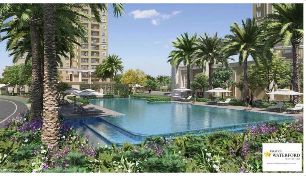 WhatsApp Image 2023-10-12 at 3.58.13 PM (2)