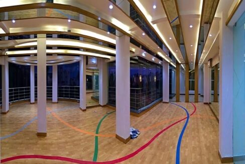 8640b878-b43b-4f4c-8403-161cda48cfc3-transformed