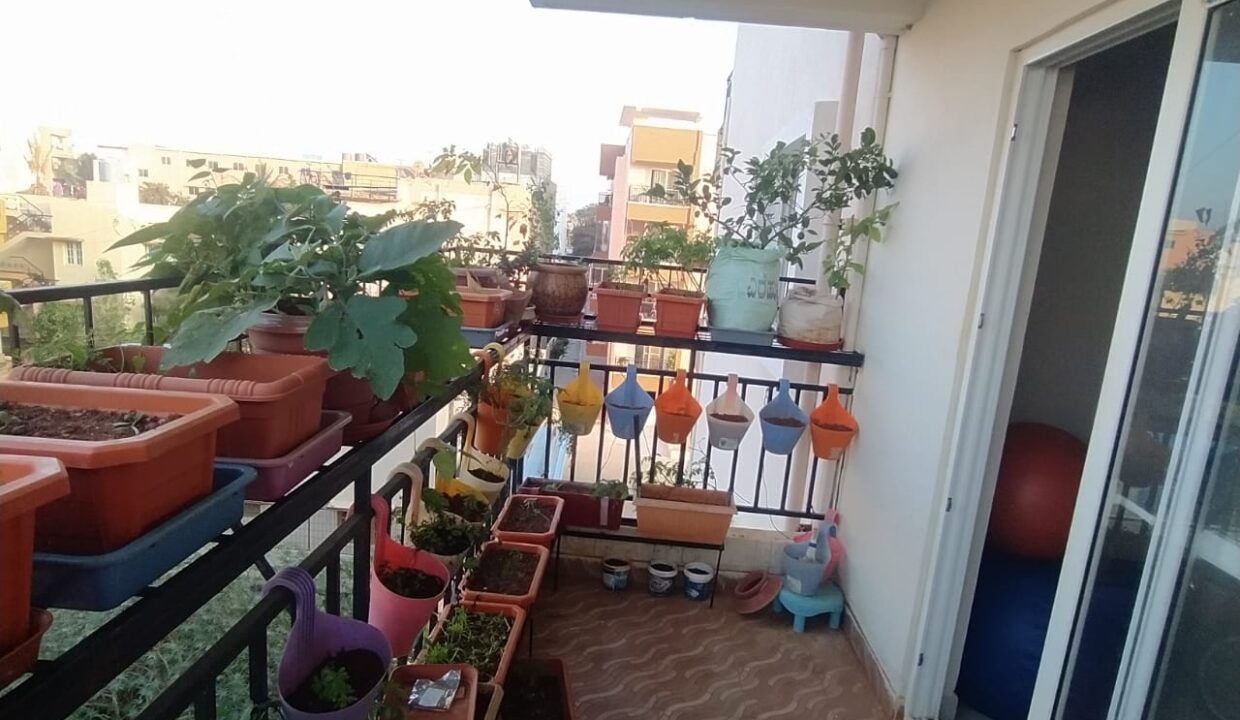 WhatsApp Image 2023-12-19 at 11.03.31 AM