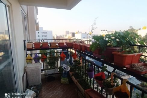 WhatsApp Image 2023-12-19 at 11.03.35 AM