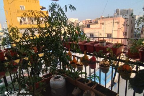 WhatsApp Image 2023-12-19 at 11.03.40 AM