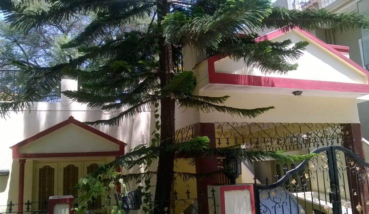 WhatsApp Image 2026-03-11 at 12.37.04 PM