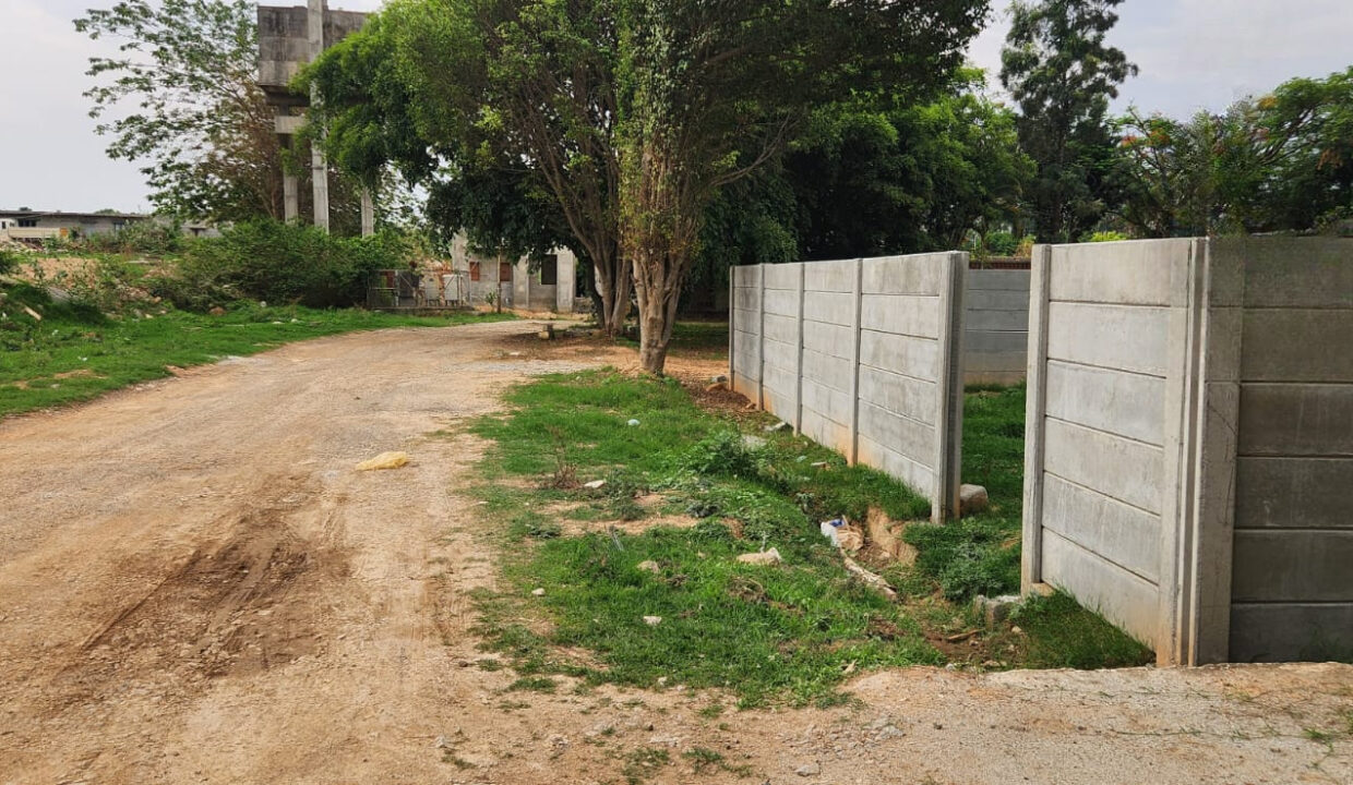 WhatsApp Image 2024-12-25 at 5.25.15 PM