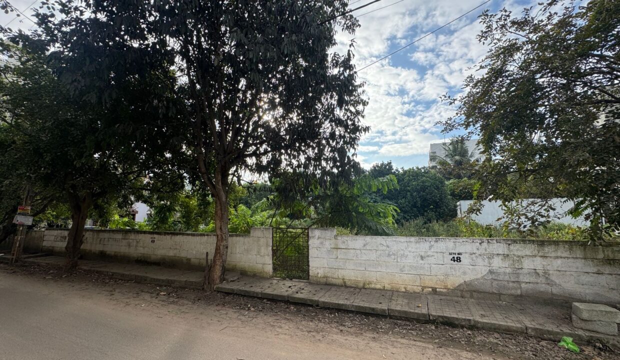 WhatsApp Image 2024-12-26 at 9.47.16 PM