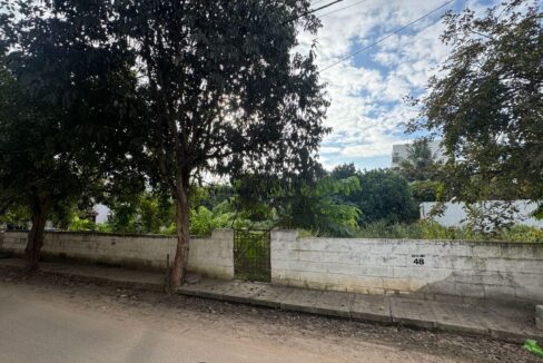 WhatsApp Image 2024-12-26 at 9.47.16 PM