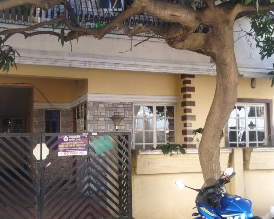 WhatsApp Image 2025-01-08 at 2.10.08 PM