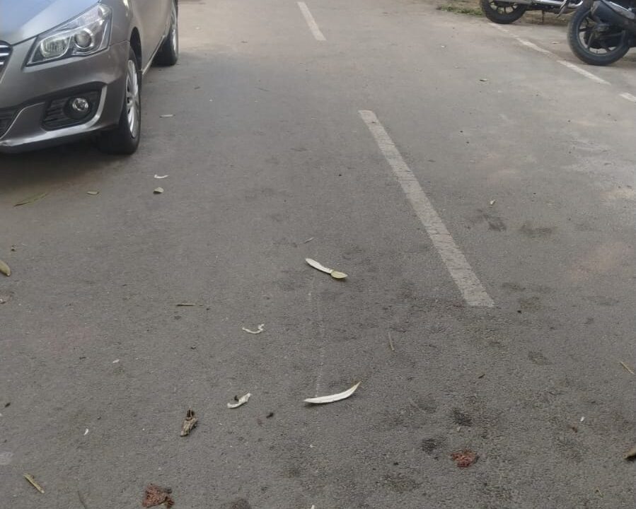 WhatsApp Image 2025-01-08 at 2.10.09 PM