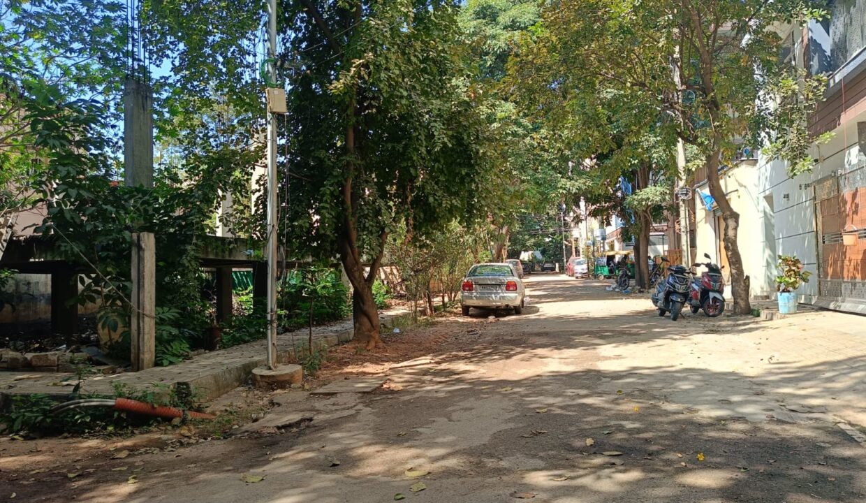 WhatsApp Image 2025-01-14 at 1.04.35 PM