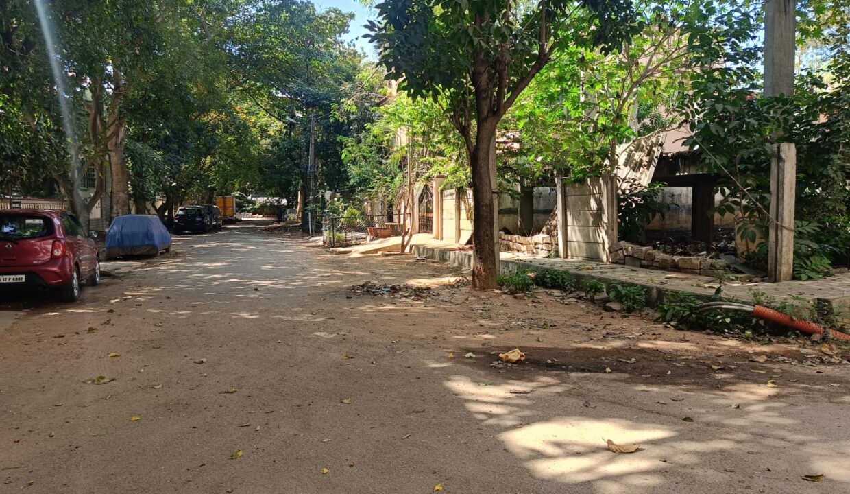 WhatsApp Image 2025-01-14 at 1.04.35 PM (4)