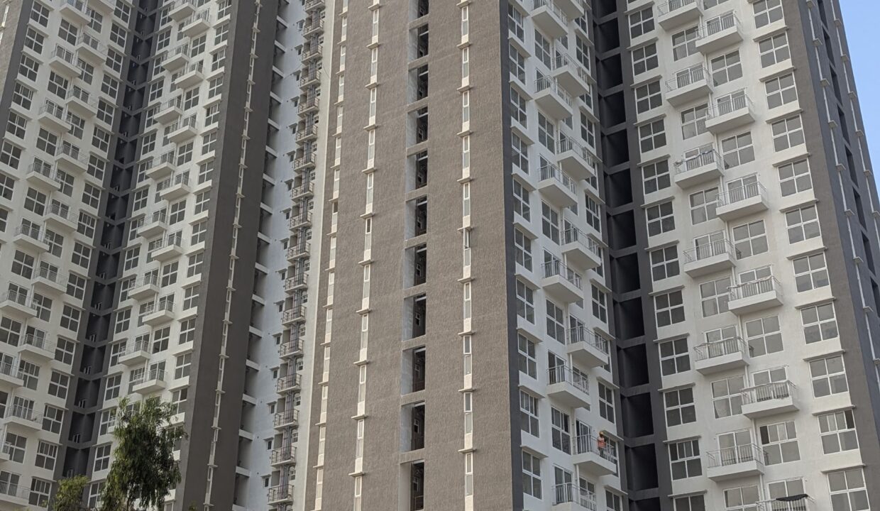 WhatsApp Image 2025-01-17 at 6.22.25 PM