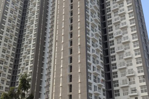 WhatsApp Image 2025-01-17 at 6.22.25 PM