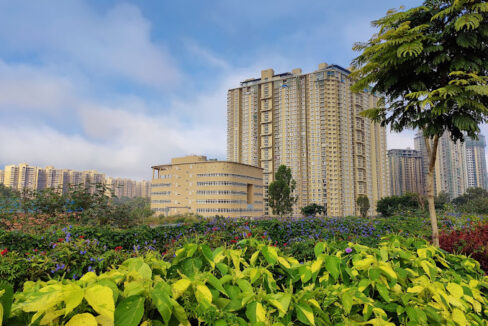 IMG_20210822_073812 (2)