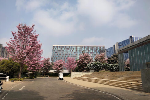 IMG_20220401_092956 (2)