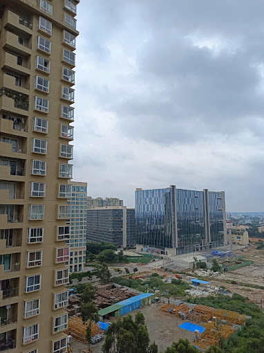 IMG_20221002_121913 (1)