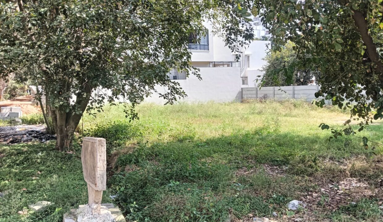 WhatsApp Image 2025-01-25 at 2.06.57 PM