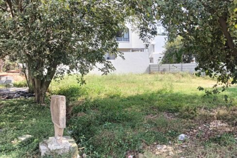 WhatsApp Image 2025-01-25 at 2.06.57 PM