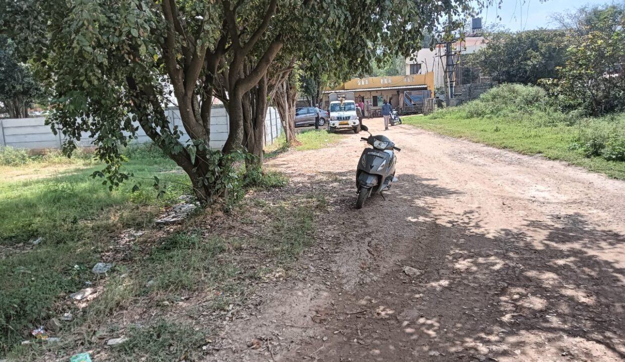 WhatsApp Image 2025-01-25 at 2.06.58 PM