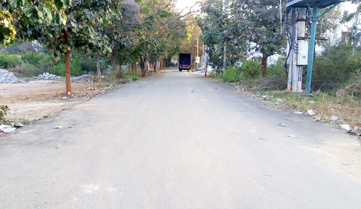 WhatsApp Image 2025-01-31 at 1.57.13 PM