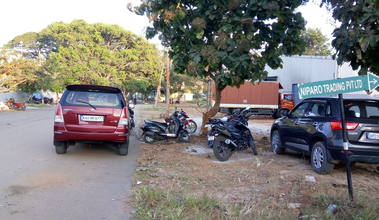 WhatsApp Image 2025-01-31 at 1.57.14 PM